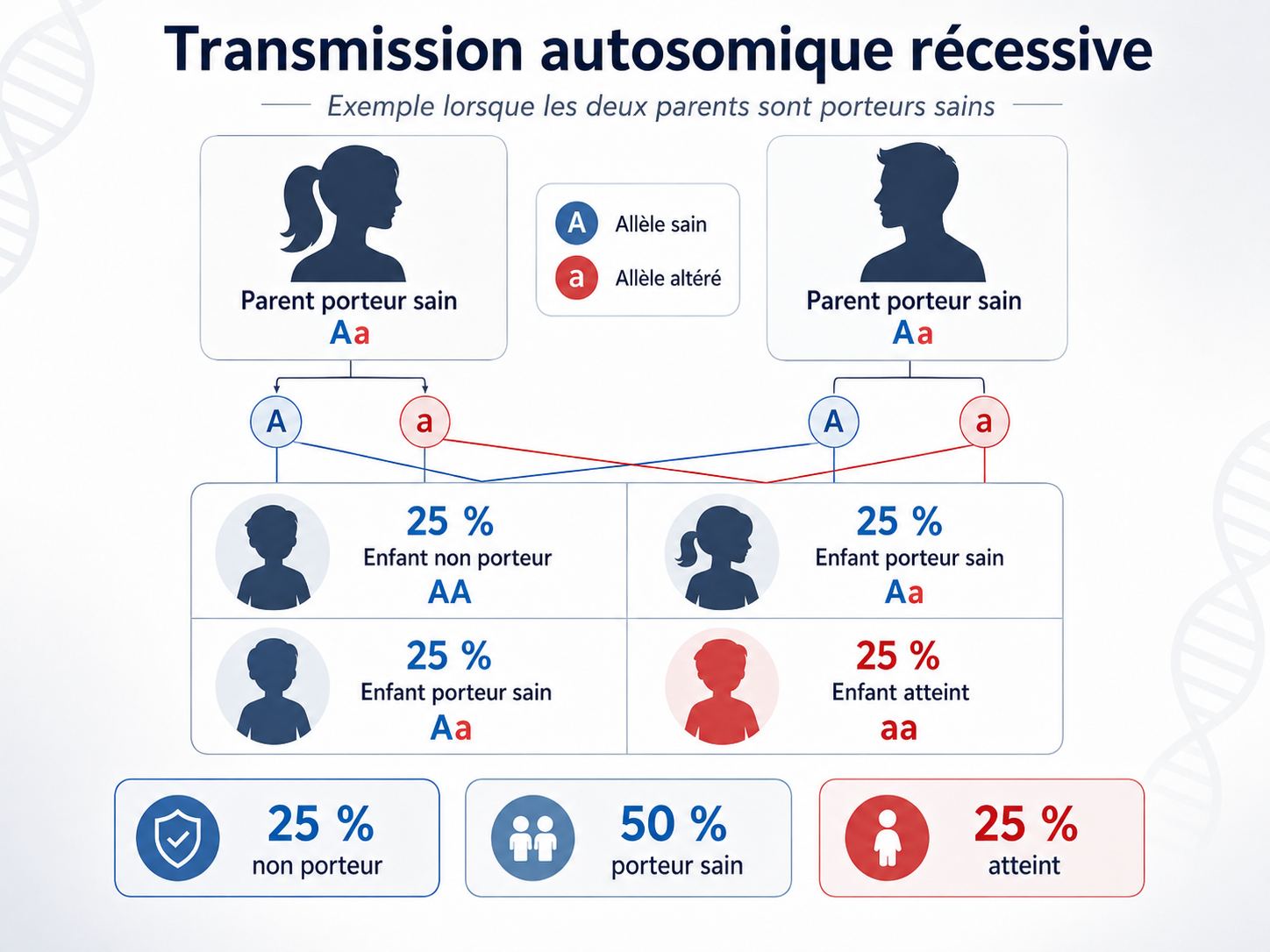 Schéma de transmission autosomique récessive lorsque les deux parents sont porteurs sains